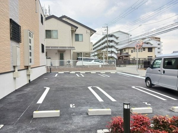 カームデイズ