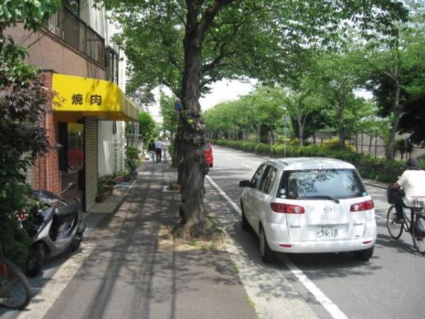 アルトピノ立花