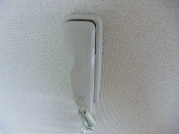 フリーダム中村
