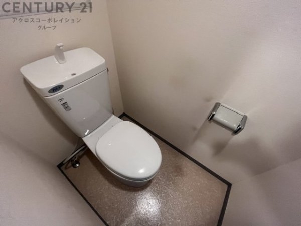 ゼハールト橘