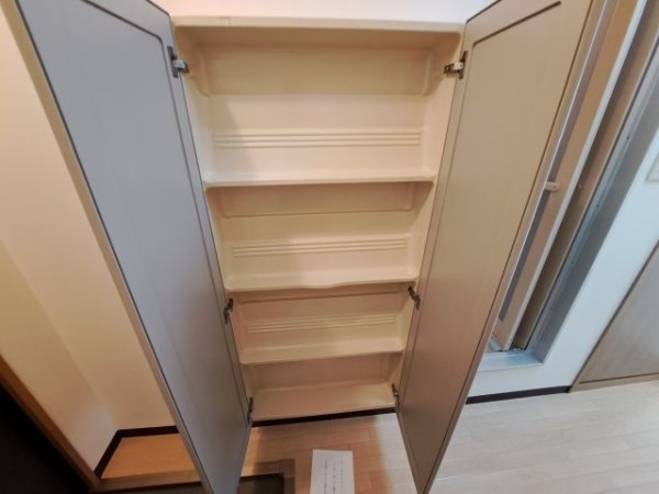ルピナス