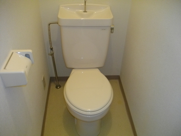ルピナス
