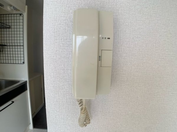 ピュア立花