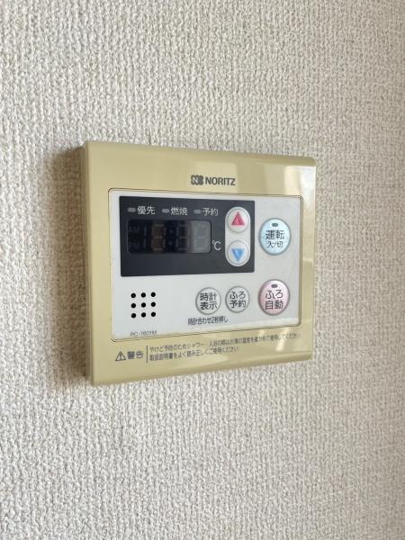 ダンディライオン