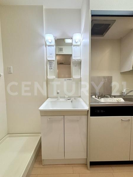 フルーヴ雑司が谷(洗面台・洗面所)