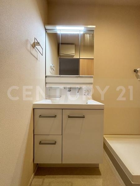 かきの木やしき(洗面台・洗面所)