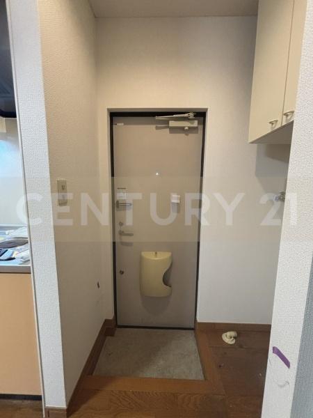 シエデイグローブ