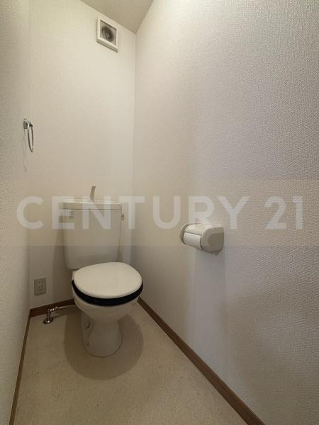 シエデイグローブ