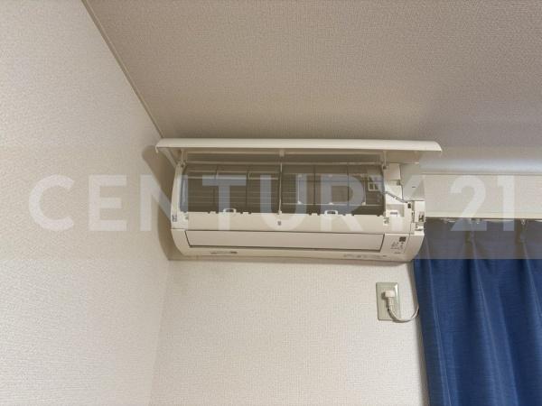 シエデイグローブ