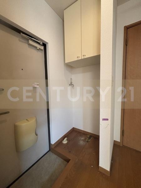 シエデイグローブ