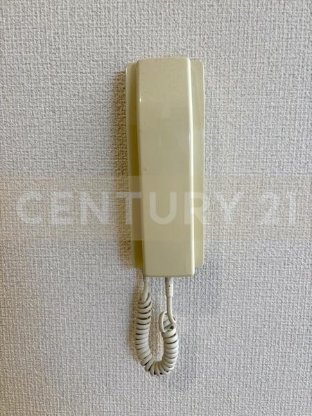 シエデイグローブ