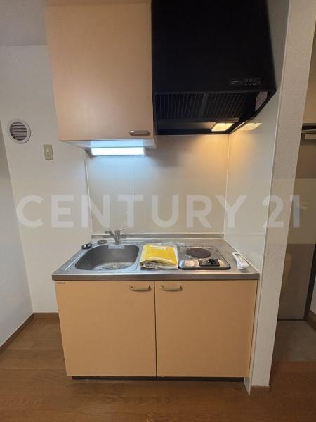 シエデイグローブ