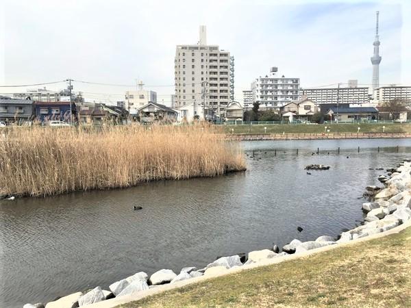 リバーガーデンS(旧中川河川敷)