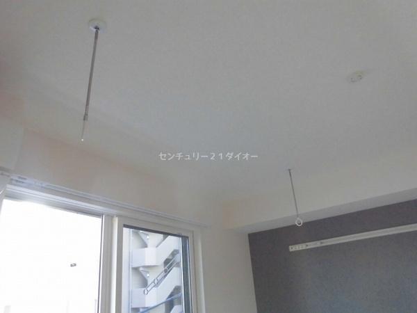 シダーテラス