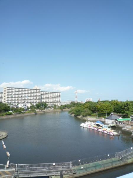 江戸川区中葛西７丁目のマンション(新長島川親水公園)
