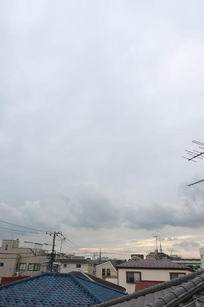 江戸川区中央２丁目の貸家