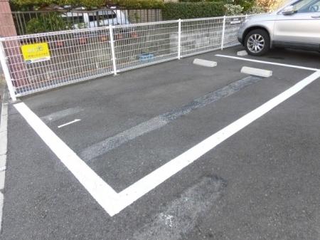 ラフィシア