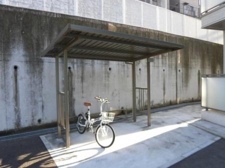 ラフィシア