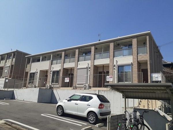 アドニス　Ｃ