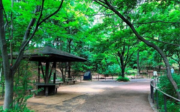 グロース泉町(区立赤羽自然観察公園)