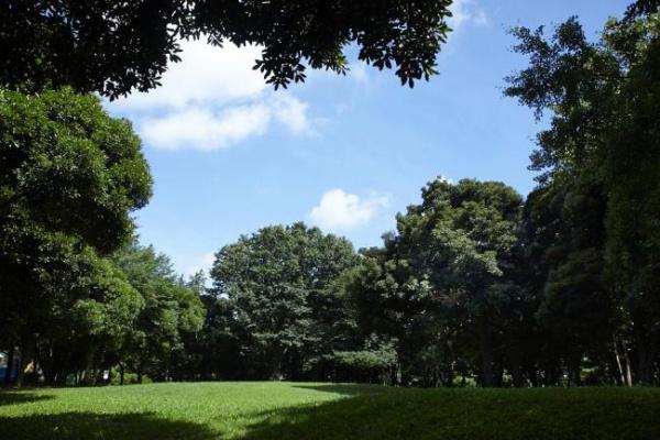 スカイハイツ中十条(北区中央公園)