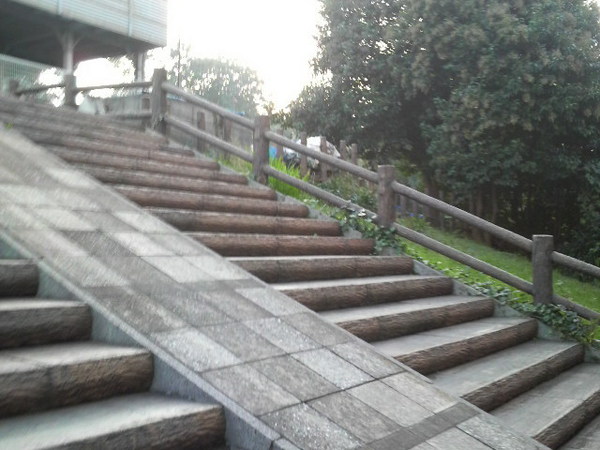 ラヴィッセたまプラーザ