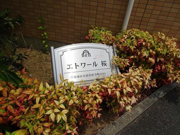 エトワール桜