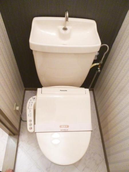 サンシャイン