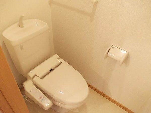 コージーコート
