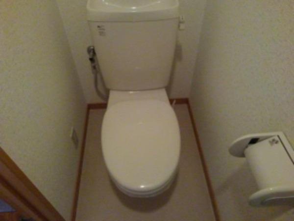 サンフィールド