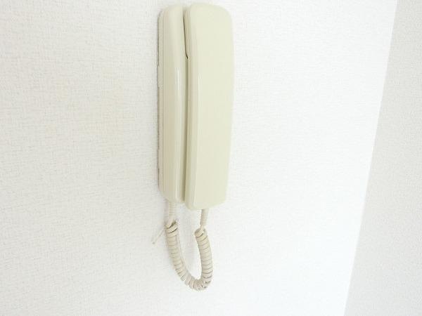 エレガンタナカ２