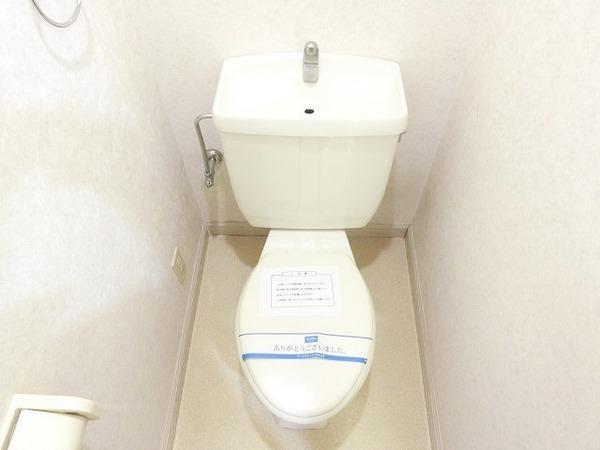 エレガンタナカ２