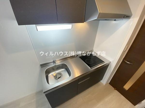 Ｆ　ａｓｅｃｉａ　クローバー