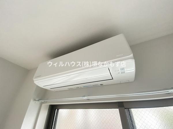Ｆ　ａｓｅｃｉａ　クローバー