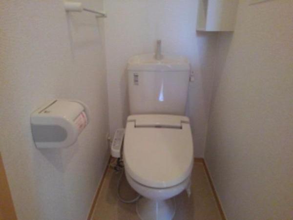 ソルジェンテ