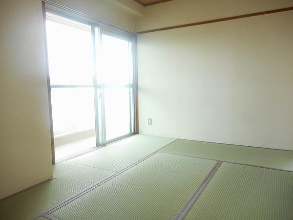 ハイムイワデ