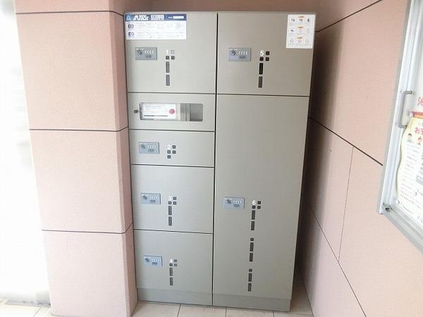 ＫＩフードアルティフェスビュ－