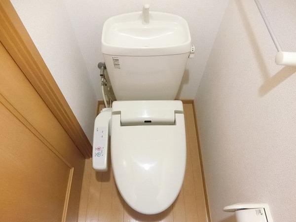 ＫＩフードアルティフェスビュ－