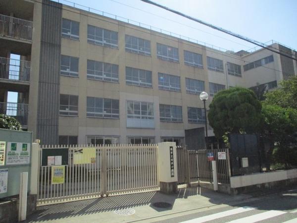 プルメリア(堺市立安井小学校)