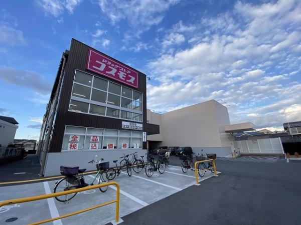 日置荘西町戸建(ディスカウントドラッグコスモス初芝店)