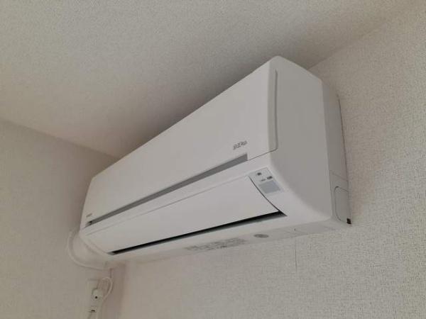 プラシード　アロッジオ