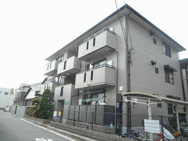パインコート