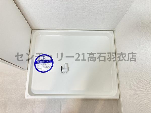 カターラオーシマ
