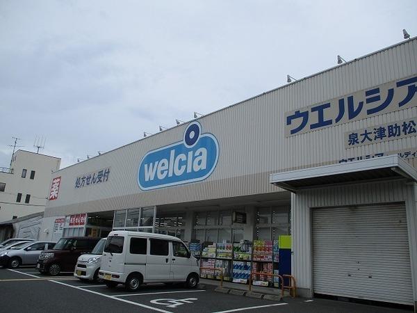フェリーチェ池上(ウエルシア泉大津助松店)