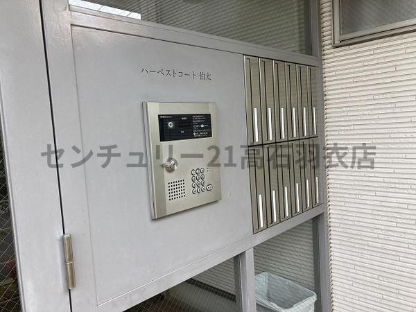 ハーベストコート伯太