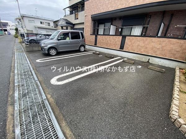 アクティブフロッグ