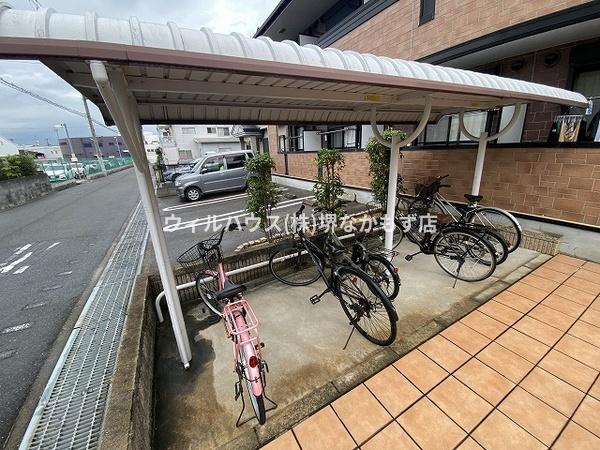 アクティブフロッグ
