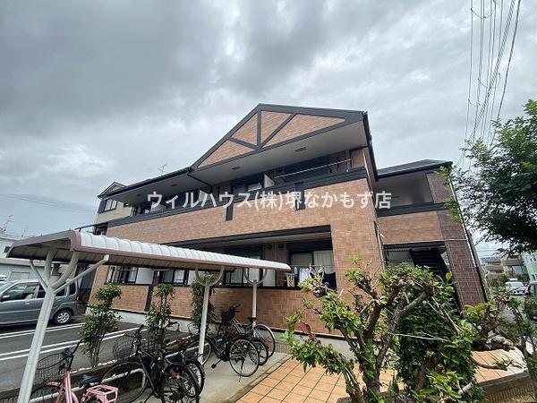 アクティブフロッグ