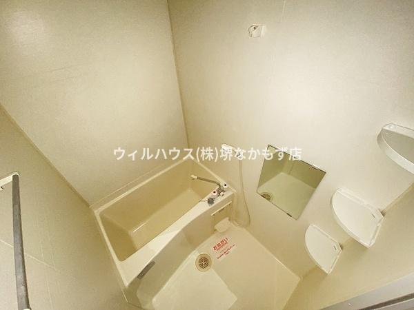アクティブフロッグ