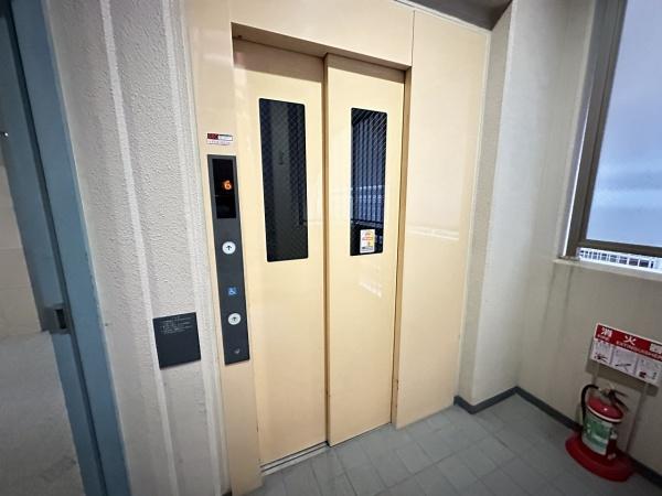ＲＯＹＡＬ　ＭＡＩＳＯＮ　ＮＡＫＡＯ